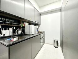 Daintree Residence (D21), Condominium #566385811